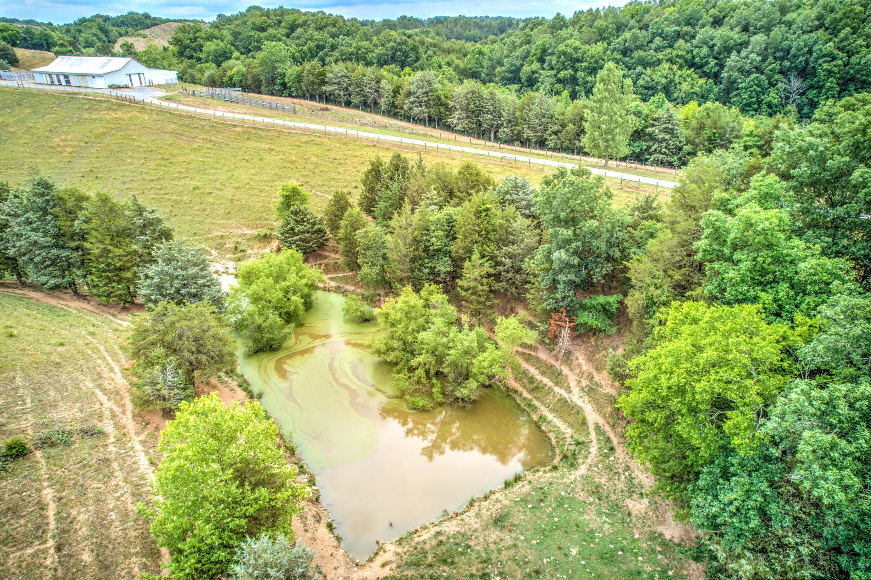 6480 Fish Hatchery Road Mohawk, TN 37810 - Photo 28 of 31 38