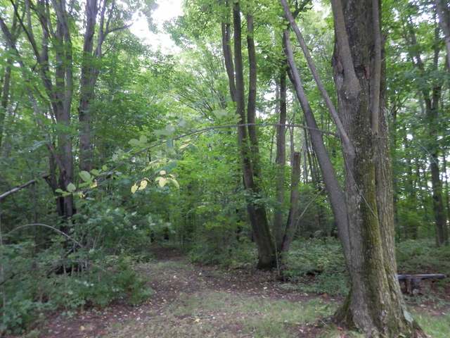 W14652 Cth J Gleason, WI 54435 - Photo 12 of 15 Gallery Image 12