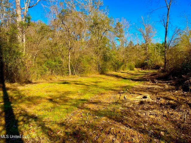 $147,400 | 4001 Stegall Road, Wesson, MS 39191