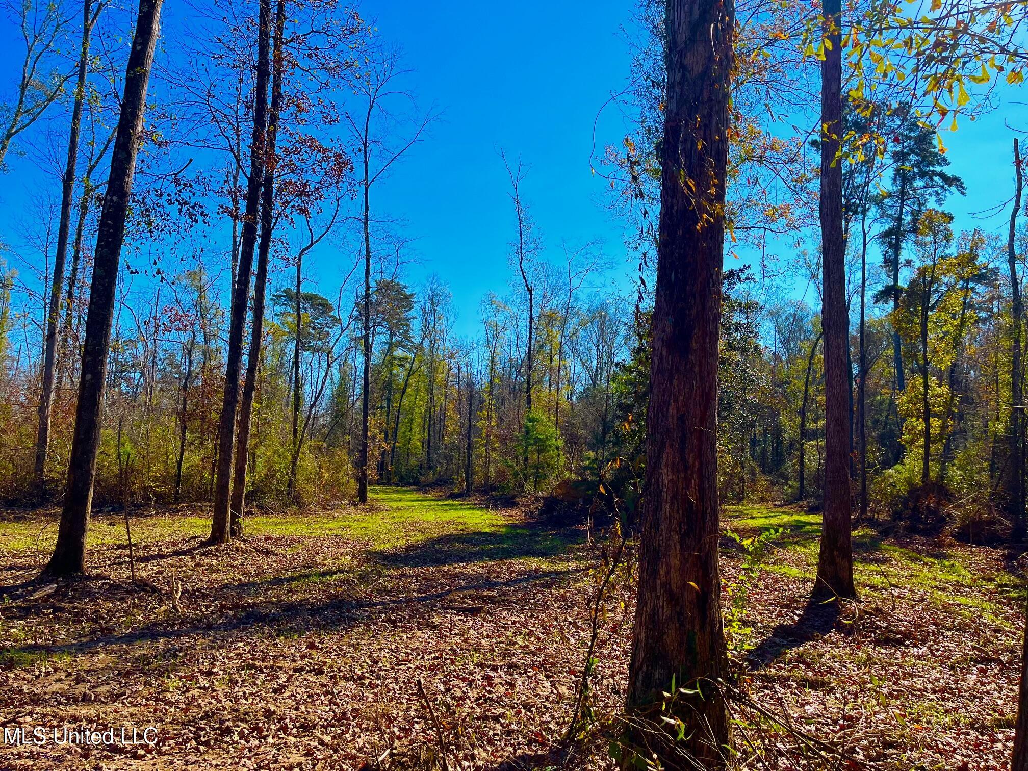 4001 Stegall Road Wesson, MS 39191 - Photo 13 of 27 qq13