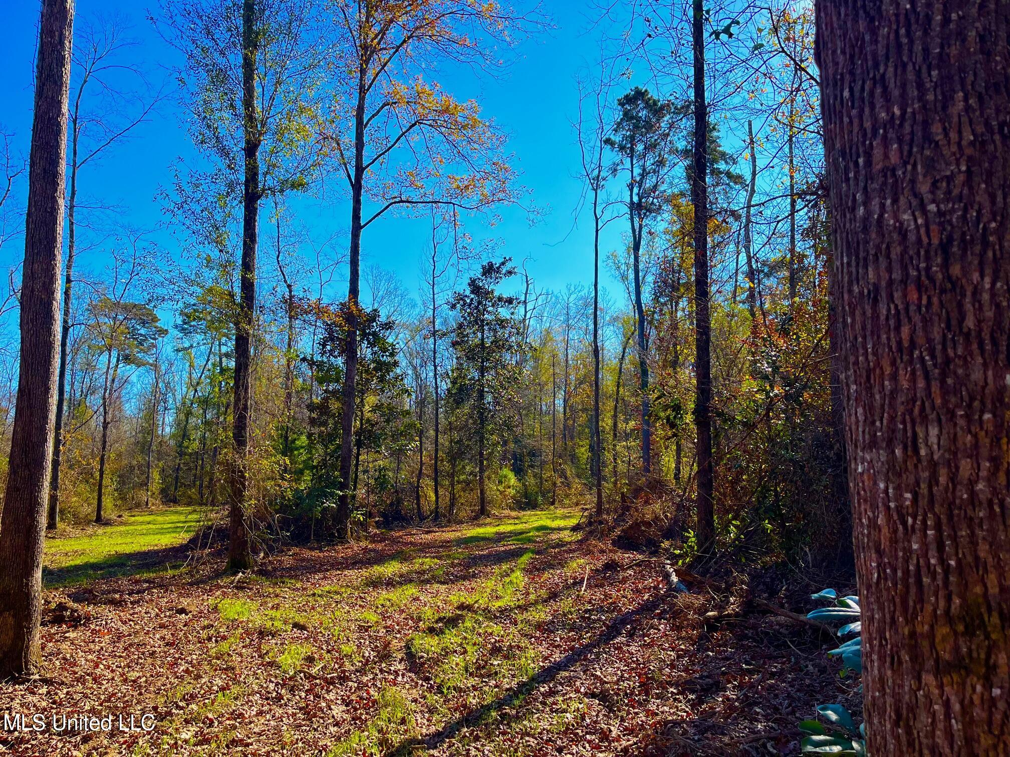 4001 Stegall Road Wesson, MS 39191 - Photo 14 of 27 qq15