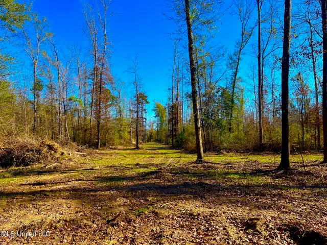 $147,400 | 4001 Stegall Road, Wesson, MS 39191