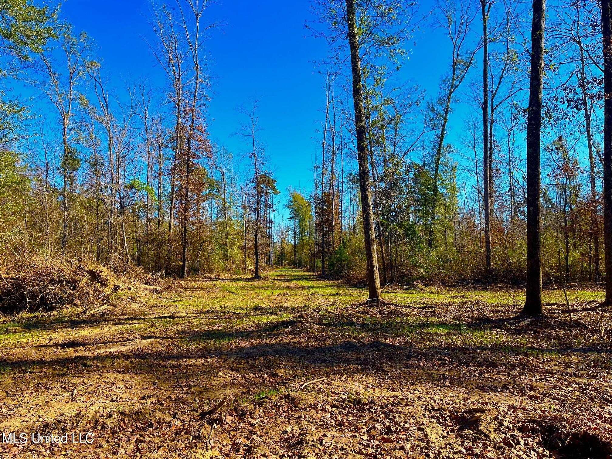 4001 Stegall Road Wesson, MS 39191 - Photo 16 of 27 qq12