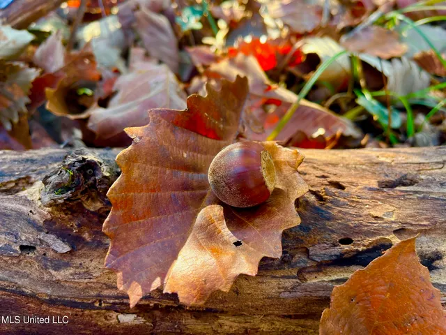 $147,400 | 4001 Stegall Road, Wesson, MS 39191