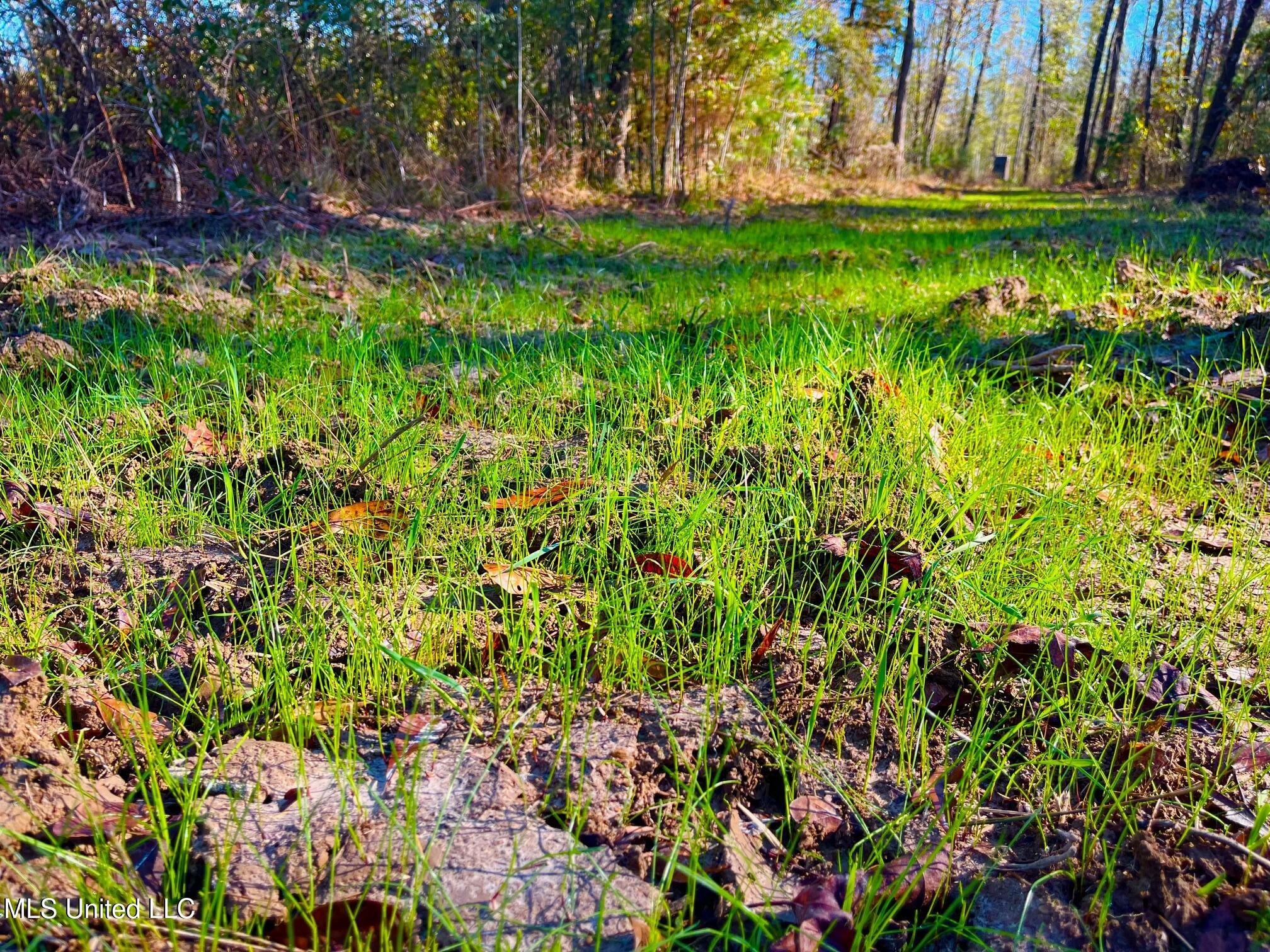 4001 Stegall Road Wesson, MS 39191 - Photo 19 of 27 qq9