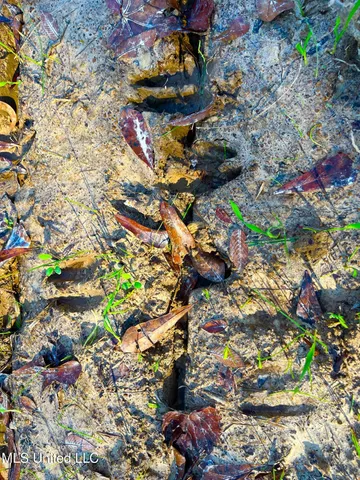 $147,400 | 4001 Stegall Road, Wesson, MS 39191