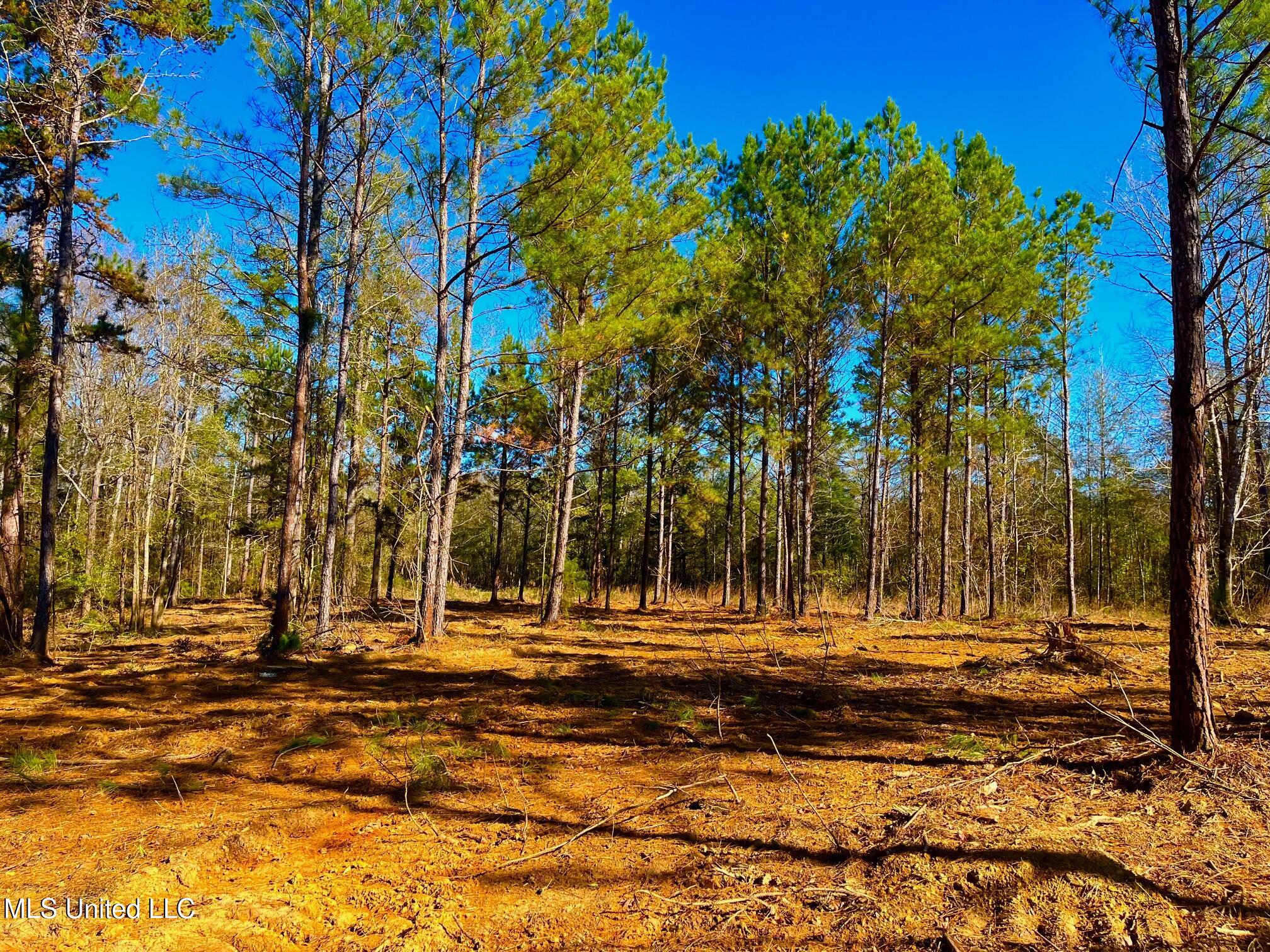 4001 Stegall Road Wesson, MS 39191 - Photo 2 of 27 qq27