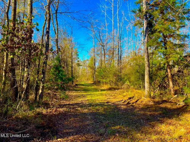 $147,400 | 4001 Stegall Road, Wesson, MS 39191