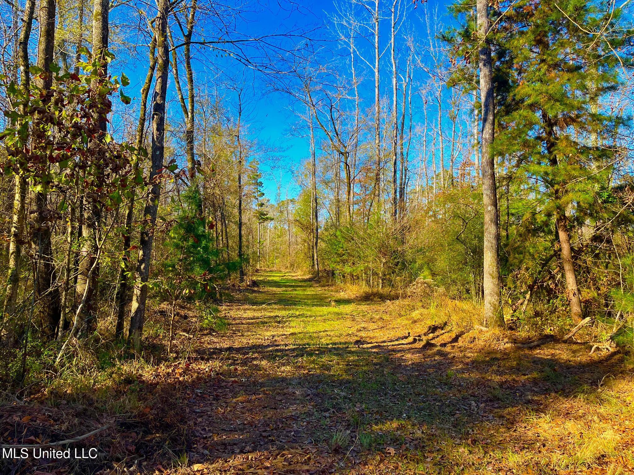 4001 Stegall Road Wesson, MS 39191 - Photo 21 of 27 qq7