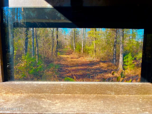 $147,400 | 4001 Stegall Road, Wesson, MS 39191