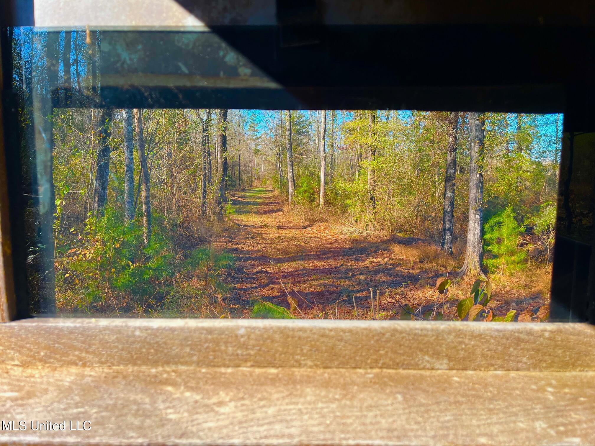 4001 Stegall Road Wesson, MS 39191 - Photo 22 of 27 qq6