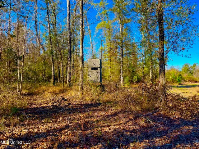 $147,400 | 4001 Stegall Road, Wesson, MS 39191