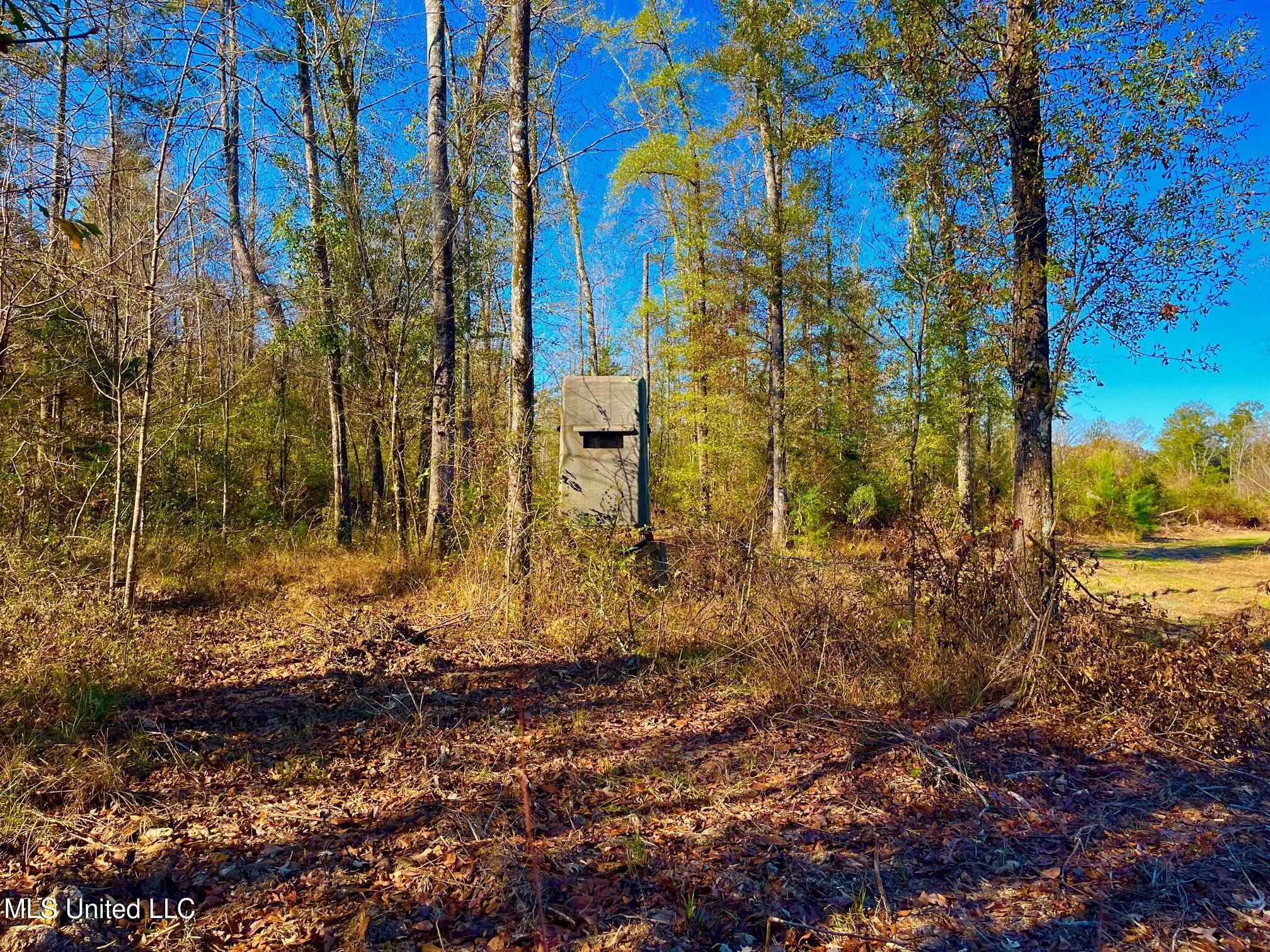 4001 Stegall Road Wesson, MS 39191 - Photo 25 of 27 qq3