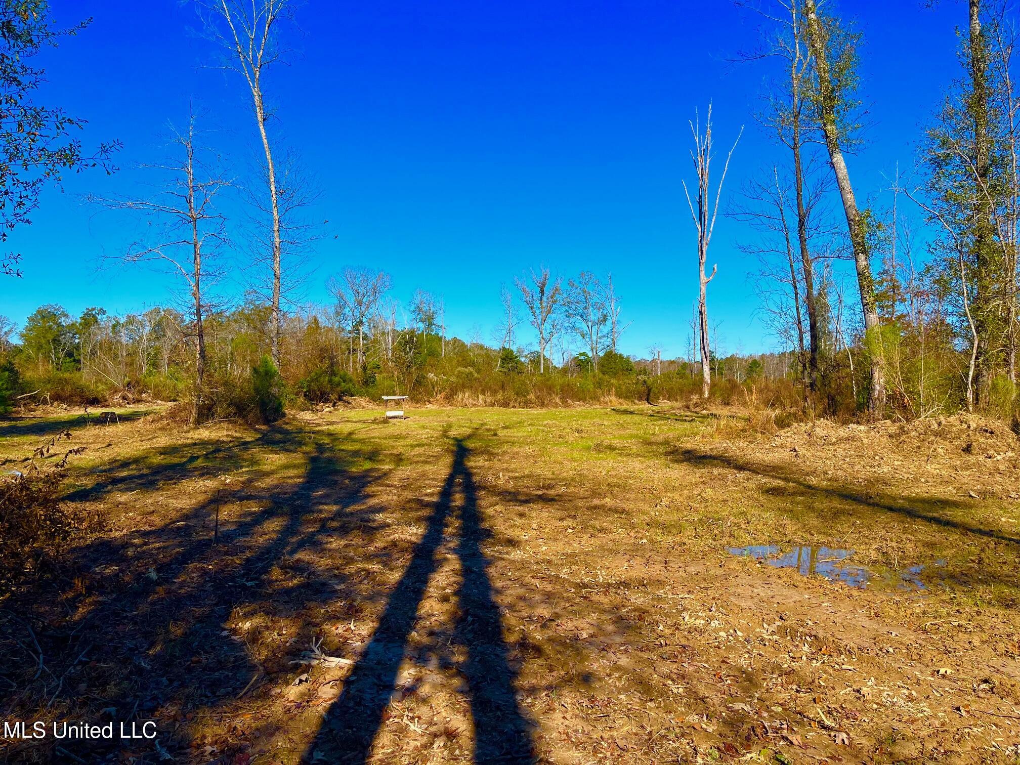 4001 Stegall Road Wesson, MS 39191 - Photo 26 of 27 qq2