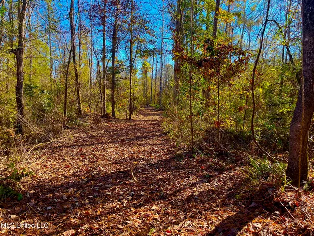 $147,400 | 4001 Stegall Road, Wesson, MS 39191