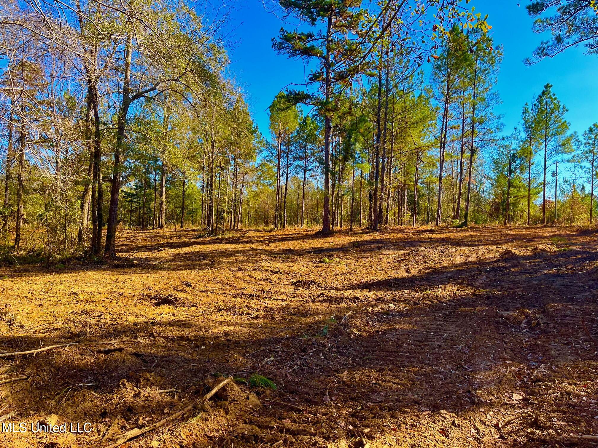 4001 Stegall Road Wesson, MS 39191 - Photo 3 of 27 qq25