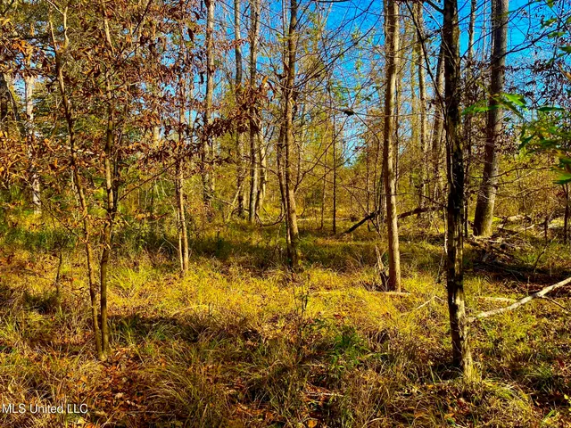 $147,400 | 4001 Stegall Road, Wesson, MS 39191