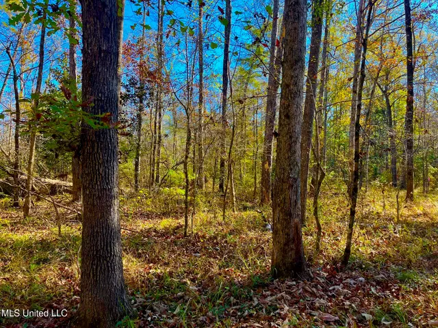 $147,400 | 4001 Stegall Road, Wesson, MS 39191