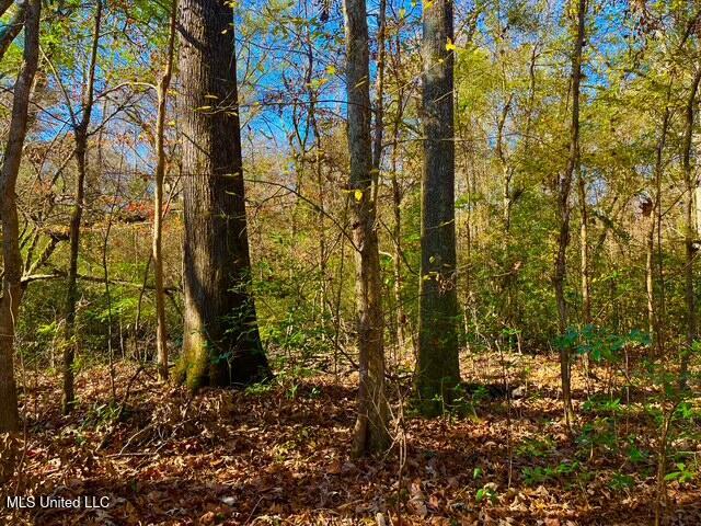 4001 Stegall Road Wesson, MS 39191 - Photo 8 of 27 qq20