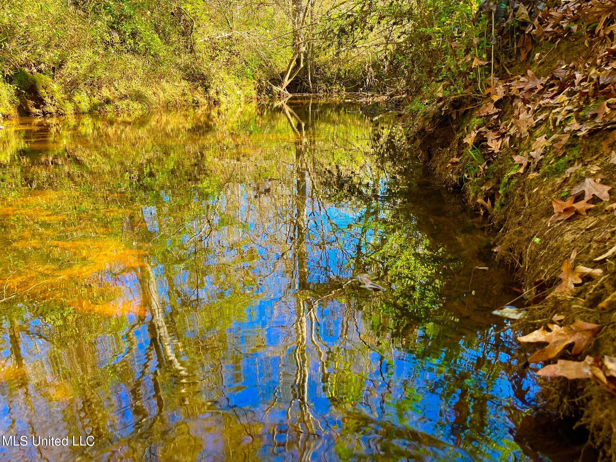 4001 Stegall Road Wesson, MS 39191 - Photo 9 of 27 qq19