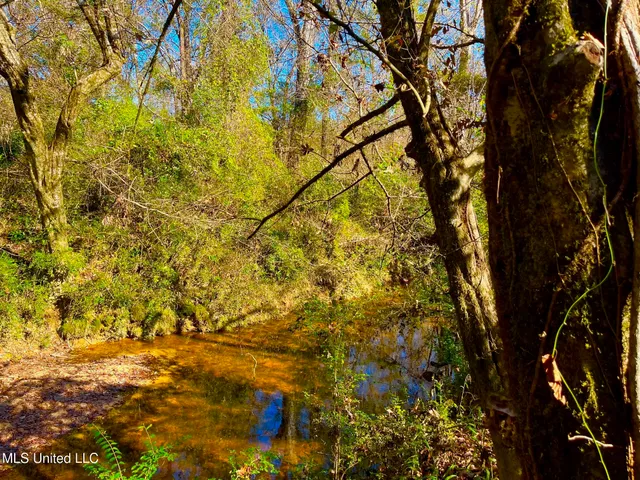 $147,400 | 4001 Stegall Road, Wesson, MS 39191