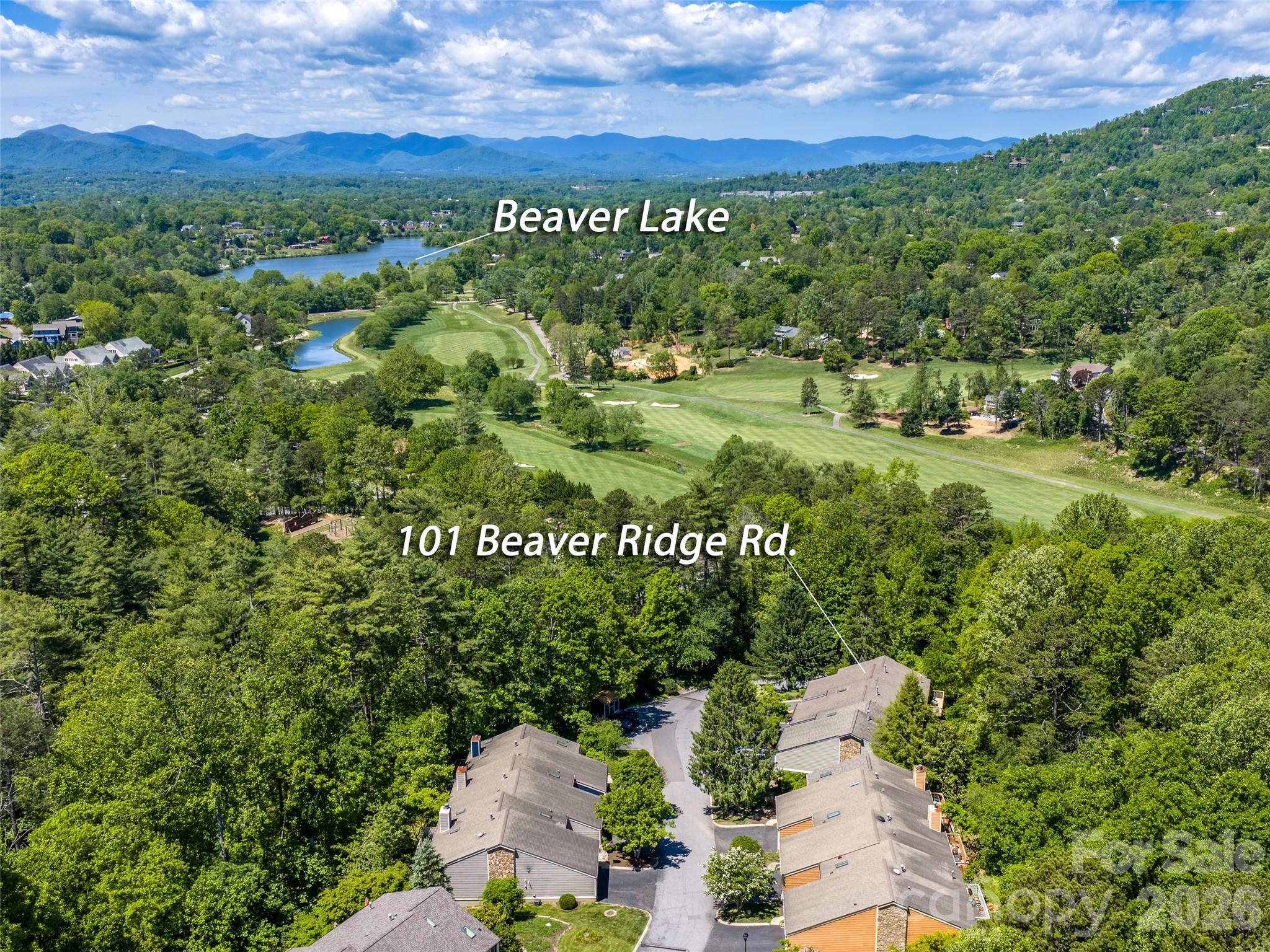 101 Beaver Ridge Road Asheville, NC 28804 - Photo 6 of 48