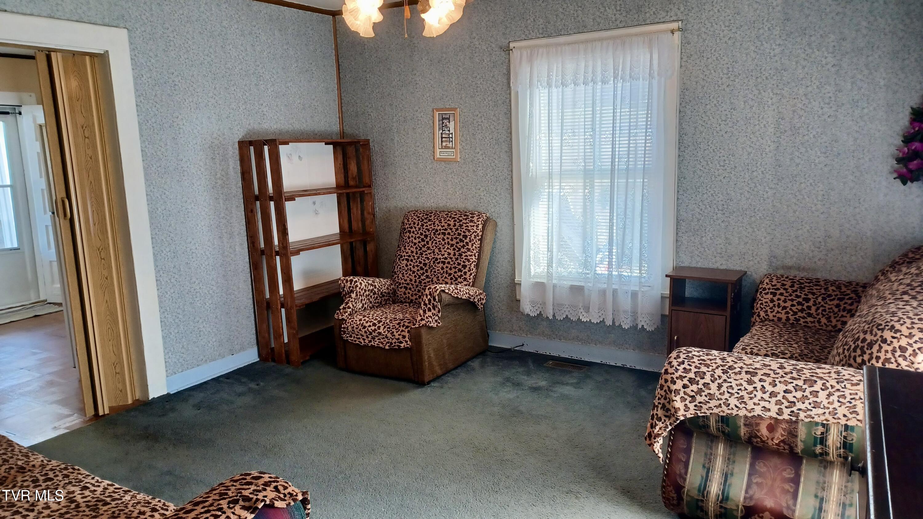 209 Madison Street Bristol, VA 24201 - Photo 3 of 52 3