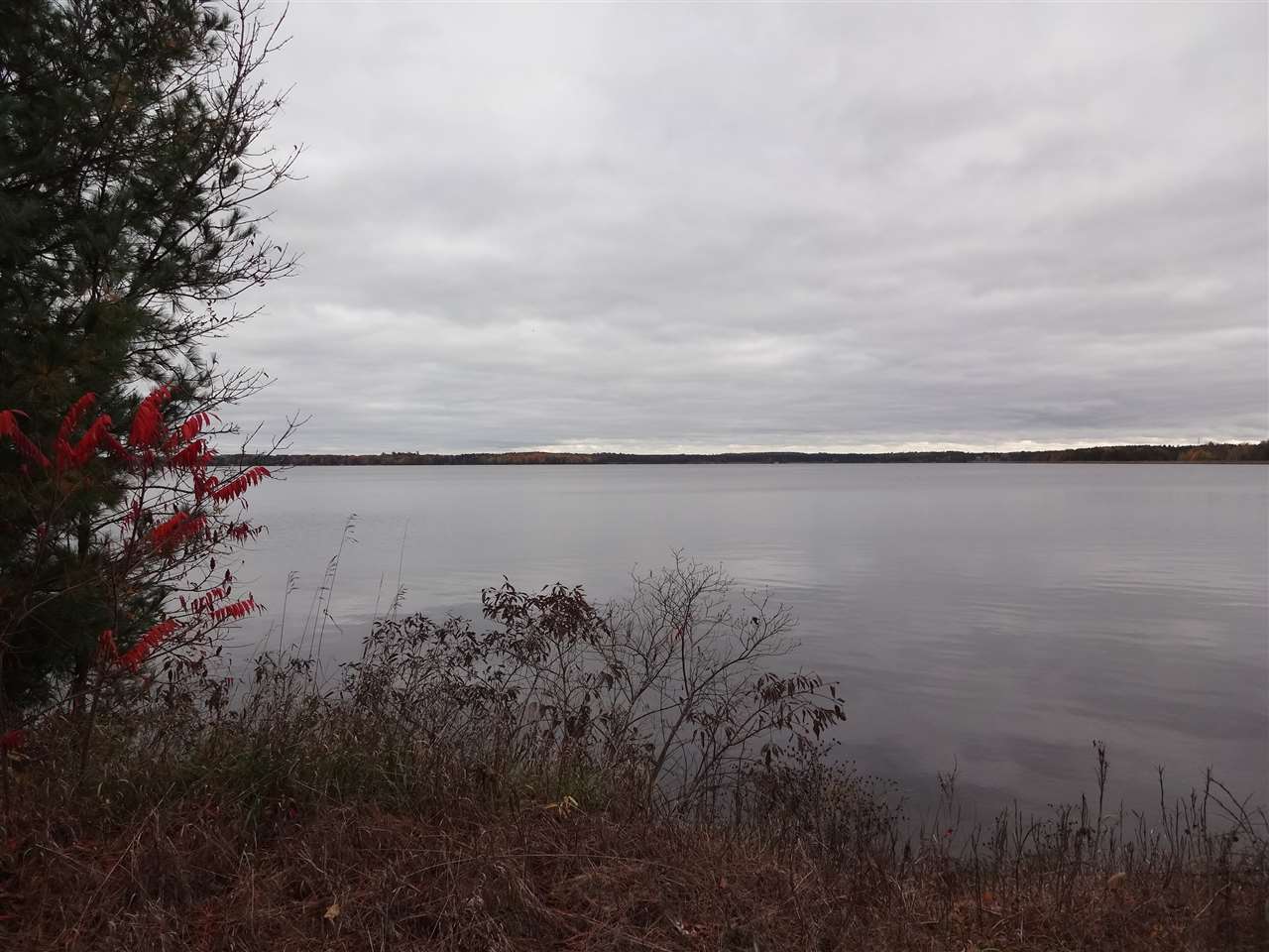 Lot 04 County Road East Junction City, WI 54443 - Photo 1 of 1