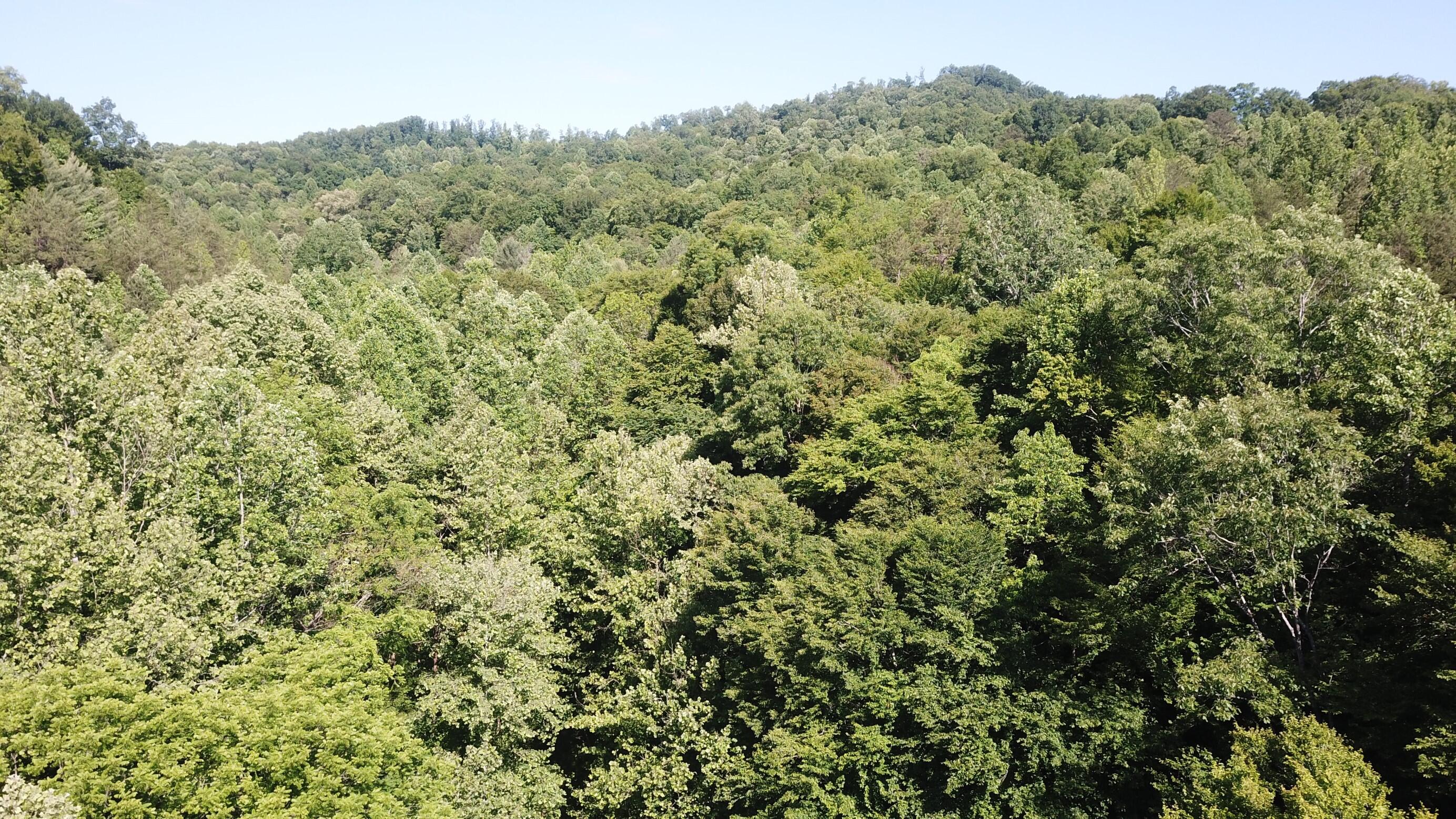 0 Emanuel Hollow Road Gray, KY 40734 - Photo 28 of 29 DJI_0022 (Custom)