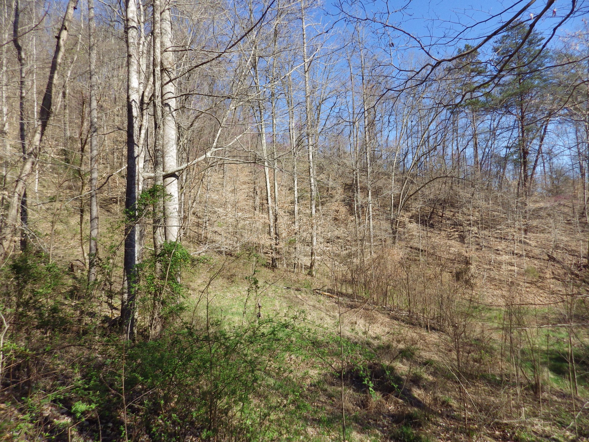 0 Ailor Gap Road Maynardville, TN 37807 - Photo 10 of 15 Gallery Image 10