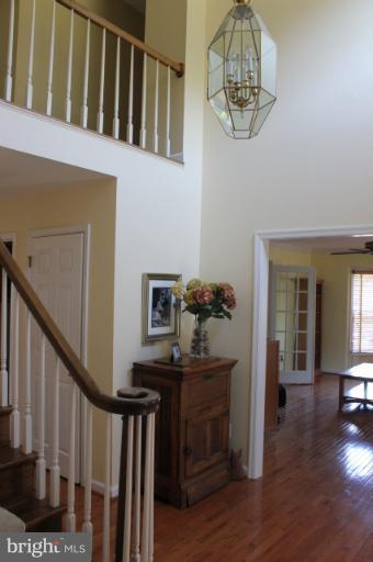 7941 Donegal Lane Springfield, VA 22153 - Photo 2 of 21 Interior (General)