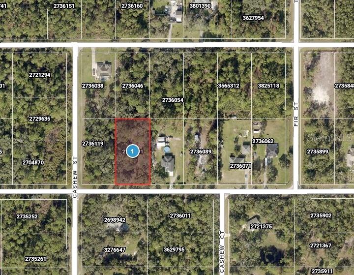 Saffron Avenue Eustis, FL 32736 - Photo 1 of 7