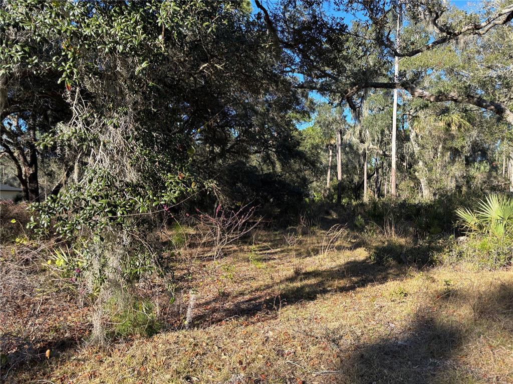 Saffron Avenue Eustis, FL 32736 - Photo 4 of 7