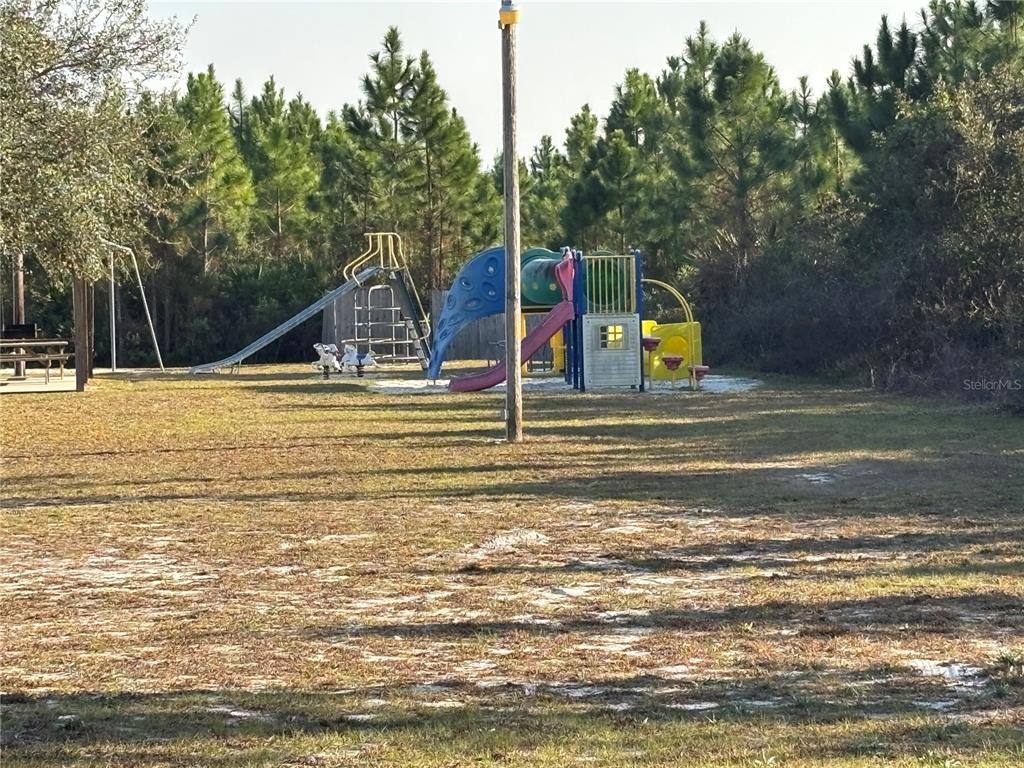 Saffron Avenue Eustis, FL 32736 - Photo 6 of 7