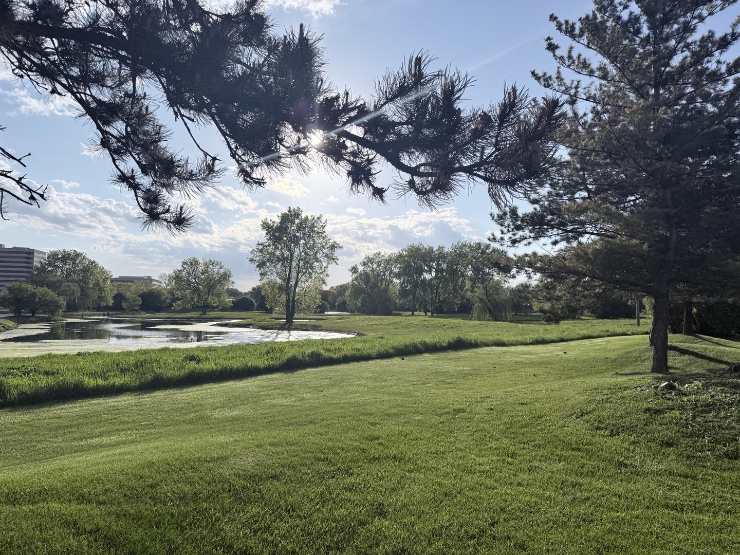 1 Renaissance Boulevard Villa Park, IL 60181 - Photo 1 of 1