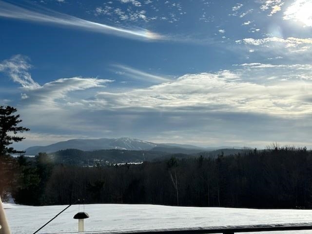 96 Fairway Drive Sunapee, NH 03782 - Photo 8 of 12