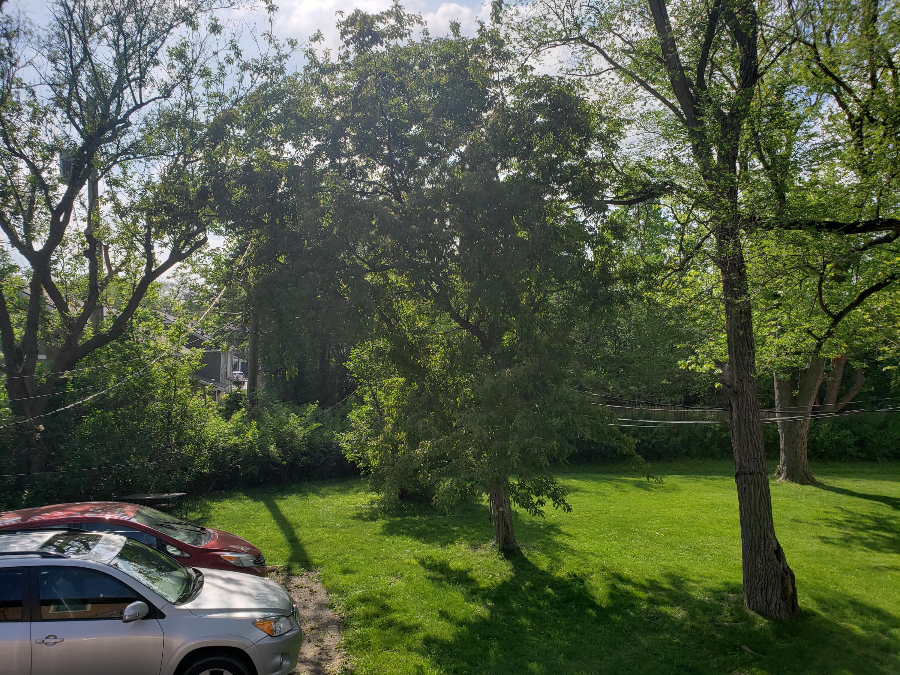 755 North Maple Road Ann Arbor, MI 48103 - Photo 4 of 4 757 N. Maple 2020 (15)