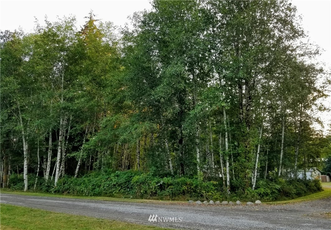 9999 Elk Corner Road Forks, WA 98331 - Photo 1 of 2 Gallery Image 1