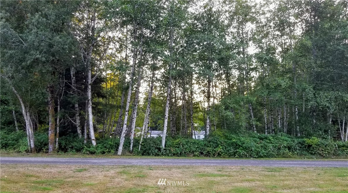 9999 Elk Corner Road Forks, WA 98331 - Photo 2 of 2 Gallery Image 2