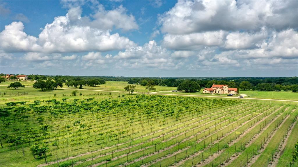 404 Strada Luca Florence, TX 76527 - Photo 5 of 25 a view of a big yard with potted plants and large trees