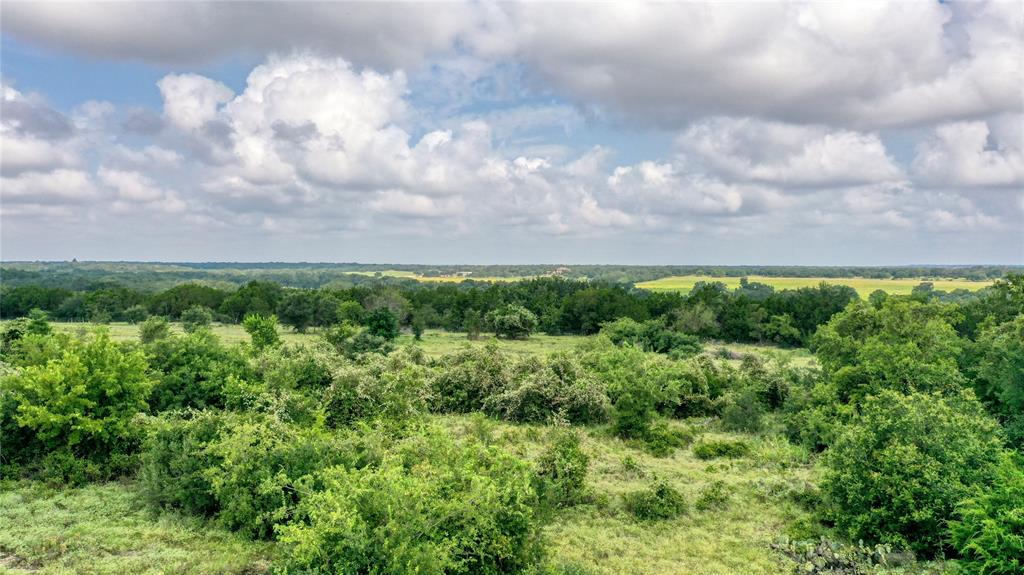 404 Strada Luca Florence, TX 76527 - Photo 8 of 25 a view of a green yard with lots of green space