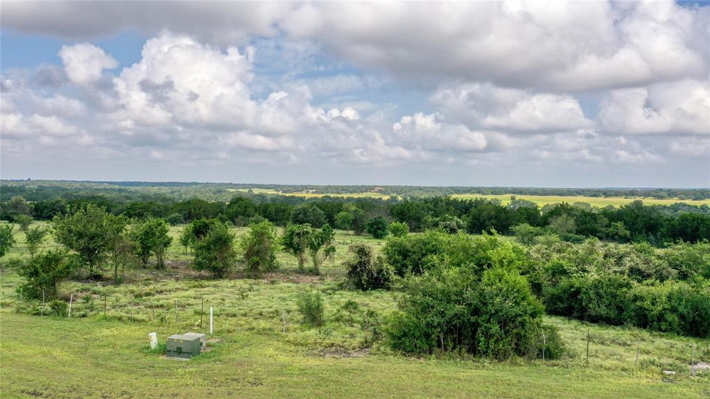 404 Strada Luca Florence, TX 76527 - Photo 9 of 25 a view of a city with lush green forest