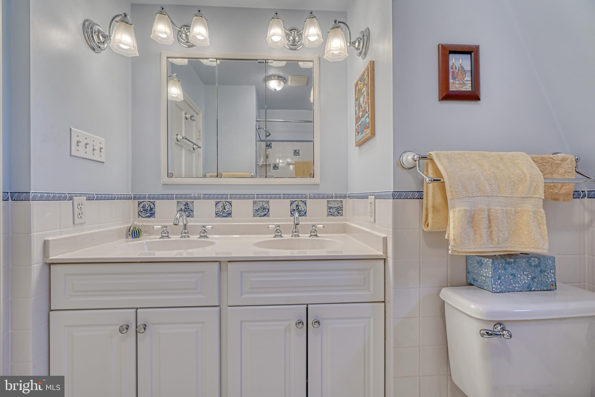 315 Thornhill Road Baltimore, MD 21212 - Photo 20 of 41 Main Bathroom/Dual sink