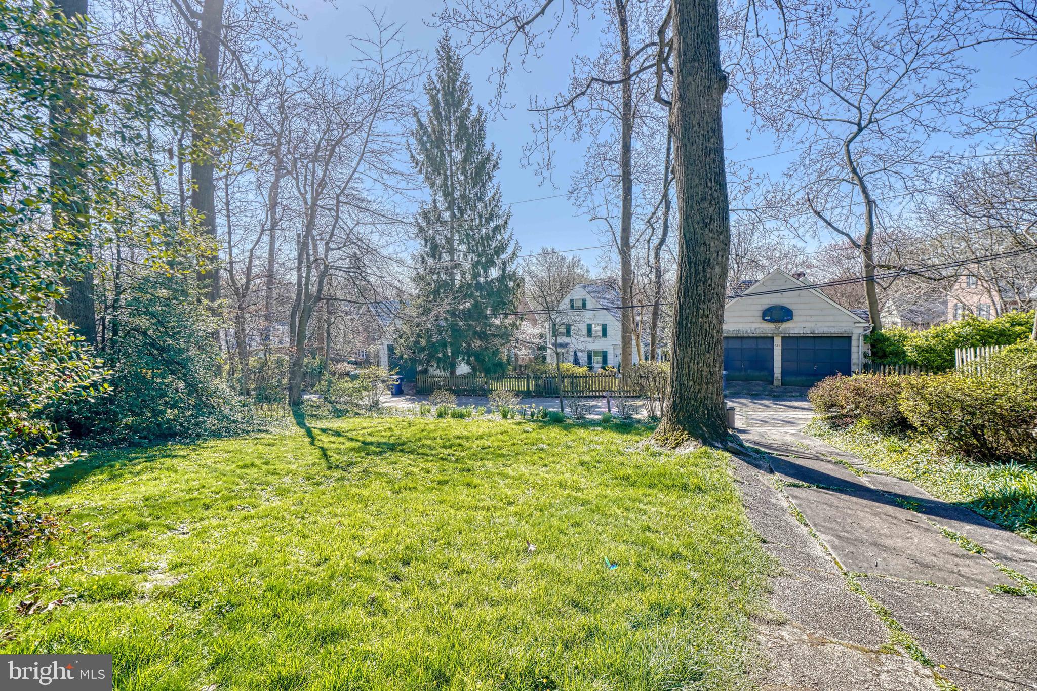 315 Thornhill Road Baltimore, MD 21212 - Photo 35 of 41 Backyard