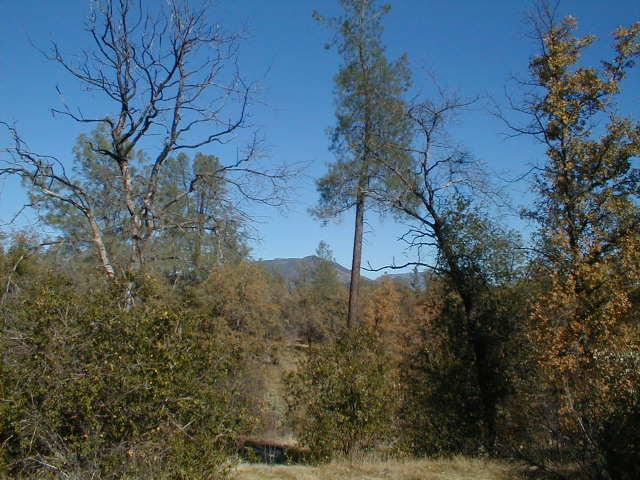 40-acres Intermountain Road Redding, CA 96003 - Photo 3 of 9 a view of a yard