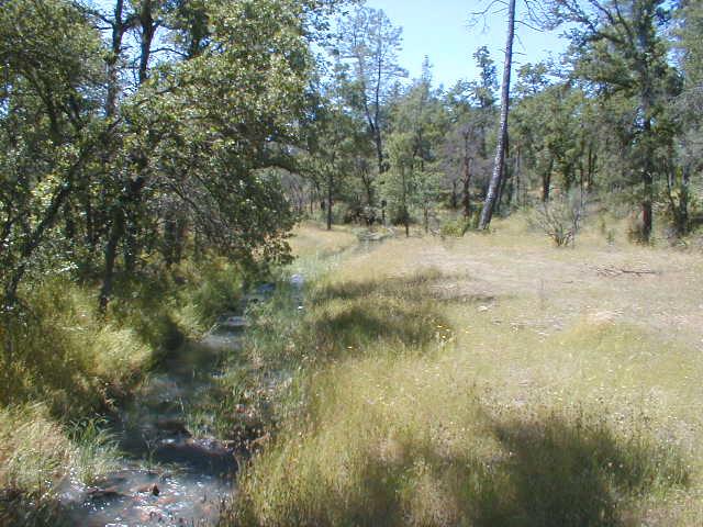 40-acres Intermountain Road Redding, CA 96003 - Photo 8 of 9 a view of river covered with trees