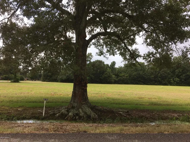 $15,500 | 413 Evelyn Street, Abbeville, LA 70510