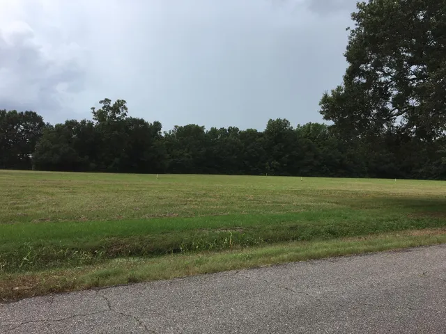 $15,500 | 413 Evelyn Street, Abbeville, LA 70510