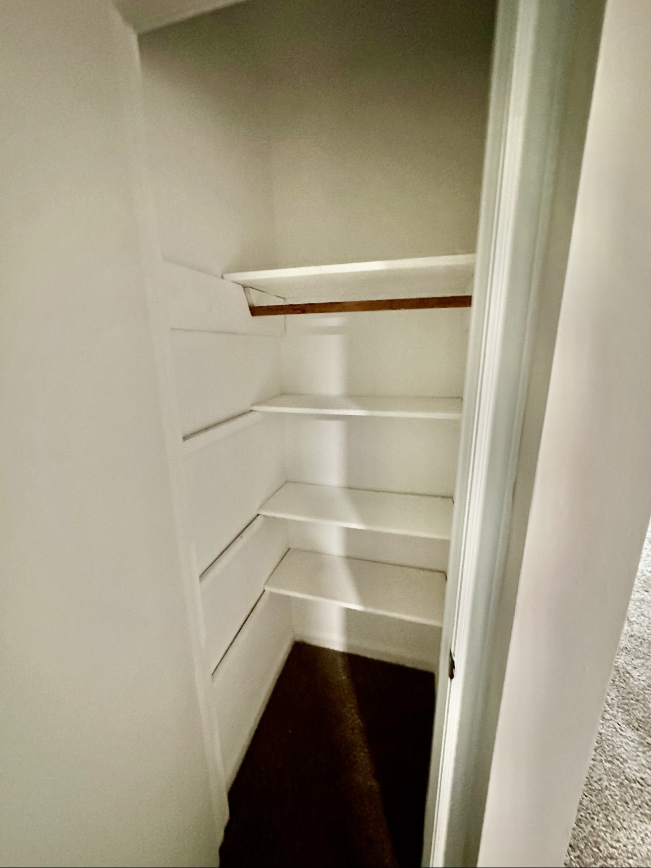 1445 Old Lascassas Road Murfreesboro, TN 37130 - Photo 5 of 18 a view of walk in closet with empty racks