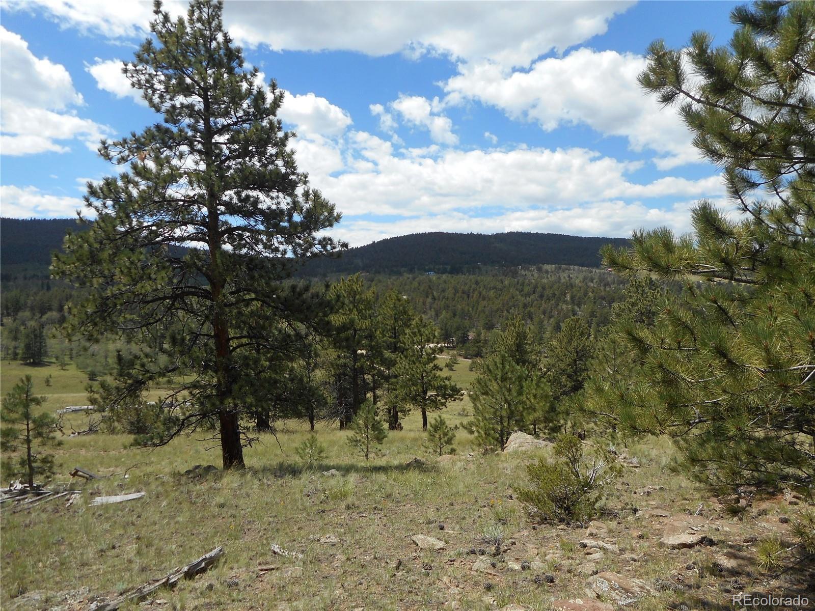 3182 Singletree Road Hartsel, CO 80449 - Photo 1 of 13